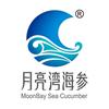 月亮湾海参厂家