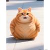 胖橘猫