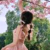 海棠花未眠