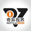 奇异视界 Reptilia Vision