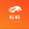 右豹短剧