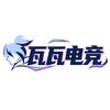 瓦瓦电竞（三角洲行动）