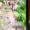 用户8641777034608