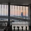 小荷的笔记