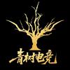 青树电竞