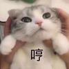 明日之后 小猫咪 高校版