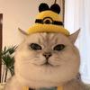 猛男老四