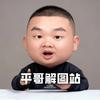 平哥解图站