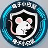 电子小白鼠