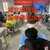 湖北升学王老师