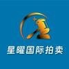 星曜国际拍卖