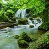 夏天山歌汇