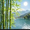 时光荏苒