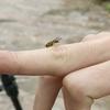 椒糊玖九