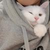 qi是我的幸运