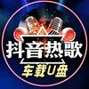 岁月如歌CD音乐U盘