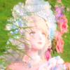 南巷Forest