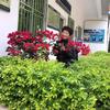 余生安好