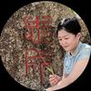 漂泊的云