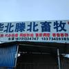 张北滕北牧业（小冯）