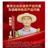 夏书记（涪陵夏宇）