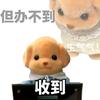 百思不得琪姐