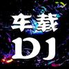 音为🈶你【车载DJ】