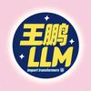 王鹏LLM