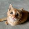猫眼看世界