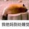 波波克烈