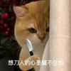 祝愿花开