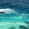 Sea｜赴海🌊