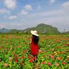 惠强超市(兵妈妈)2014.9.16