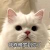 花开花落**