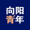 向阳青年