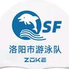洛阳市游泳队