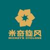 米奇旋风宠物健康管理