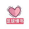 足球情书