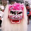 河南大胡子高端演狮团（王