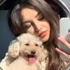 团子宠屋
