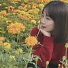 潮州财税·菜菜