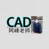 CAD教学阿峰老师