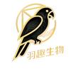 羽趣宠物鸟企业店