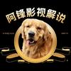先锋影视解说
