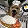鲤鱼哼