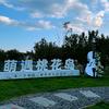 萌遇桃花岛