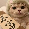 肥仔要喝快乐水