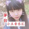 茅台小王音乐汇
