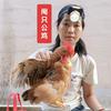 马山阉鸡妹(招学徒)