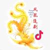 凤凰追剧
